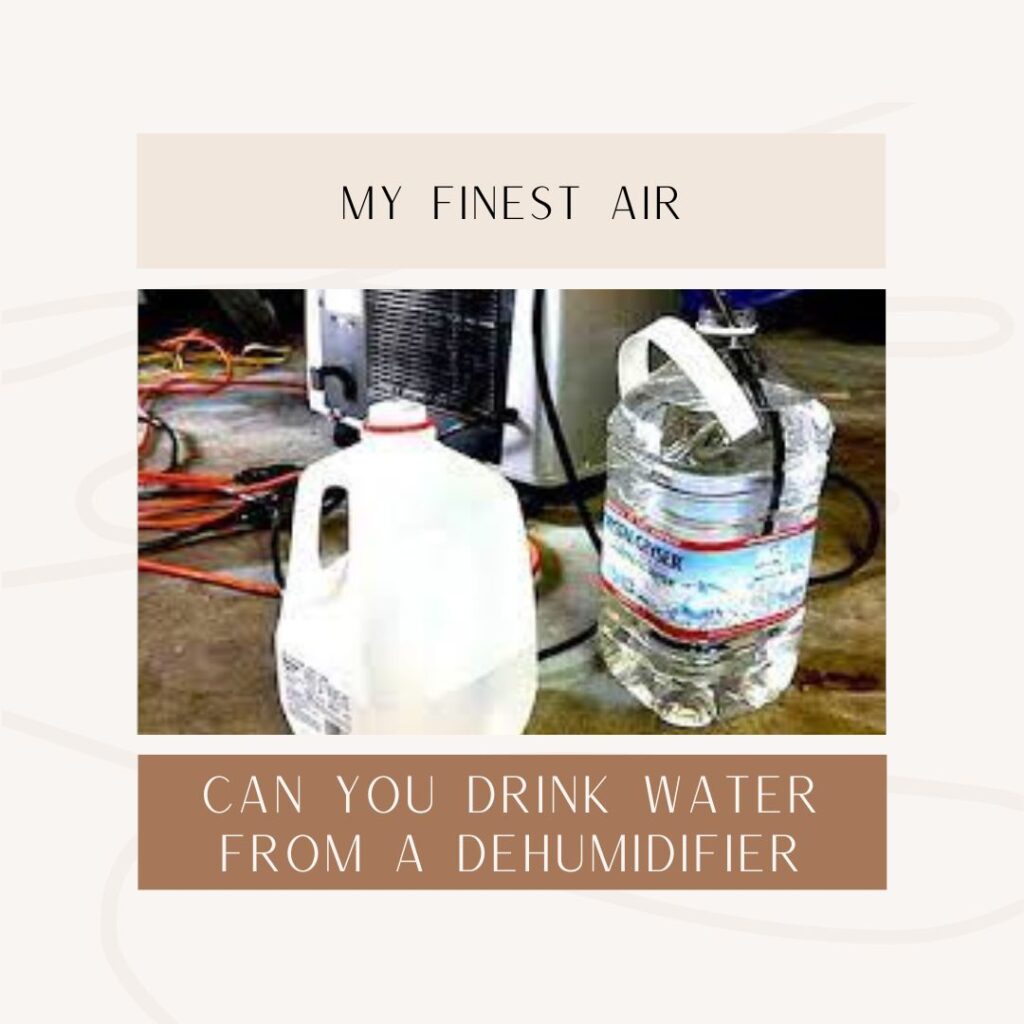 Can You Drink Water From A Dehumidifier?