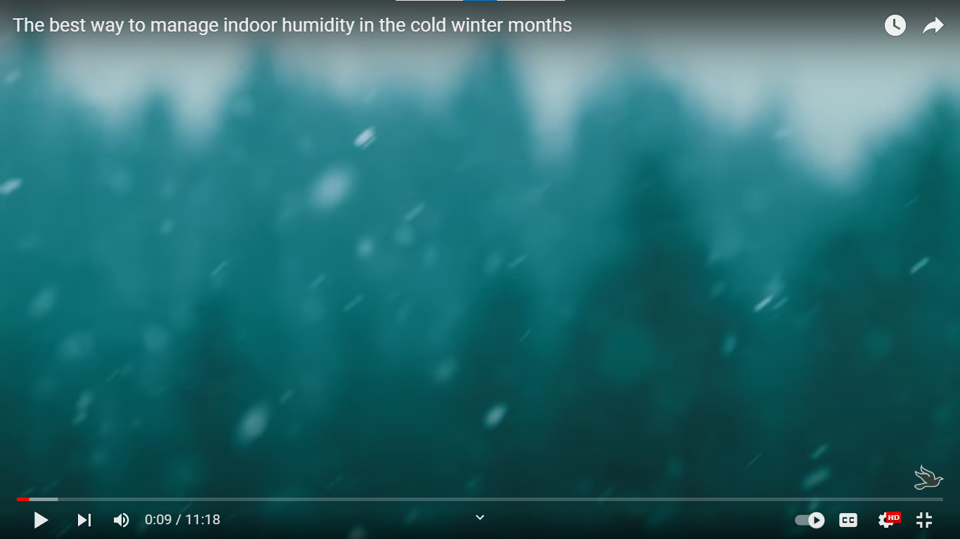 Indoor Humidity In Winter Vs Summer