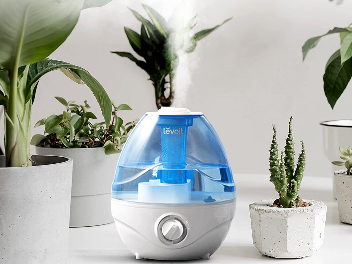 Should I Be Able to See Mist Coming Out of My Humidifier
