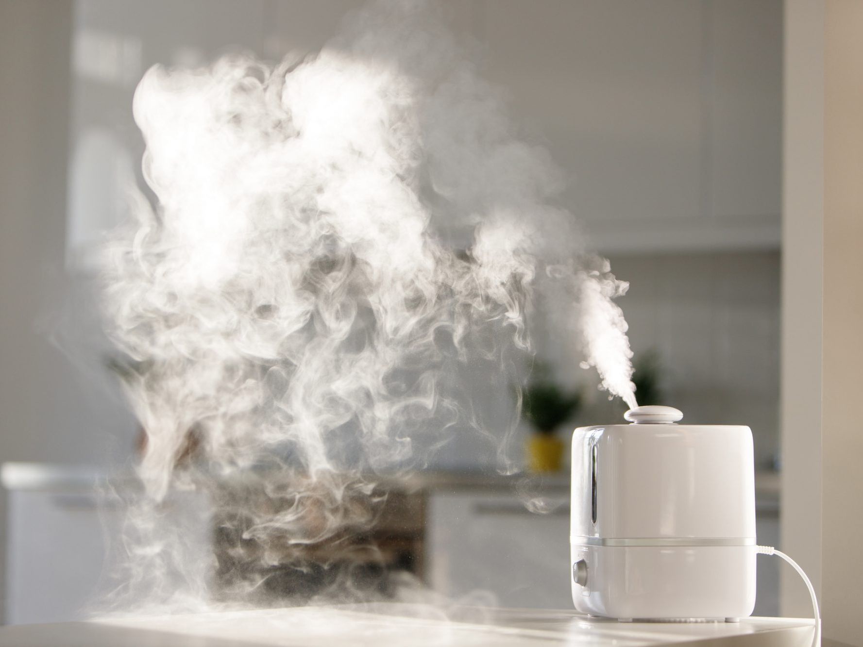 Why Is My Humidifier Not Blowing Mist