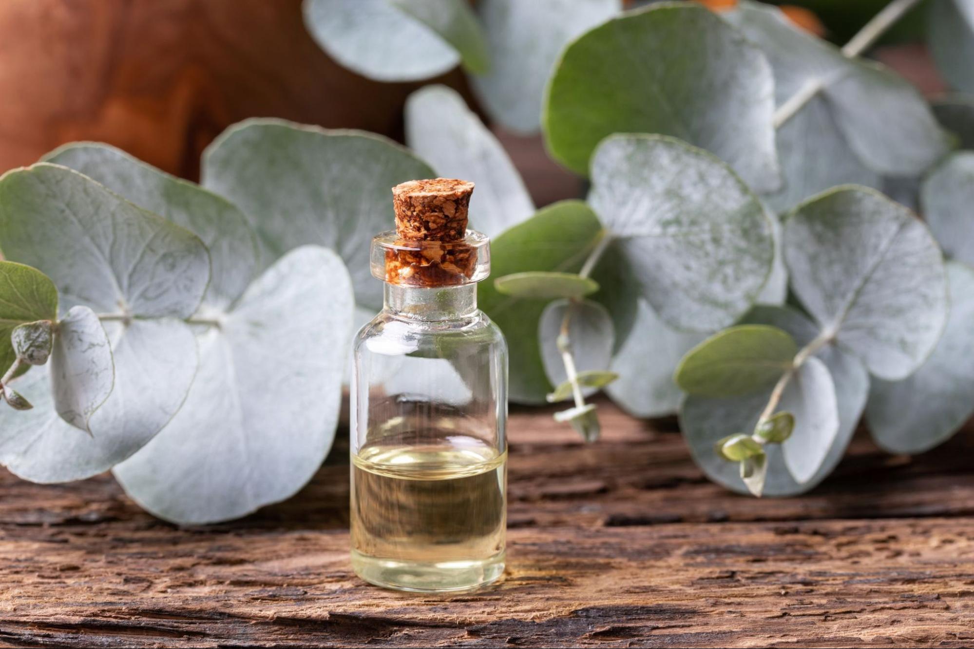 Is Eucalyptus Oil in Humidifier Safe For Babies