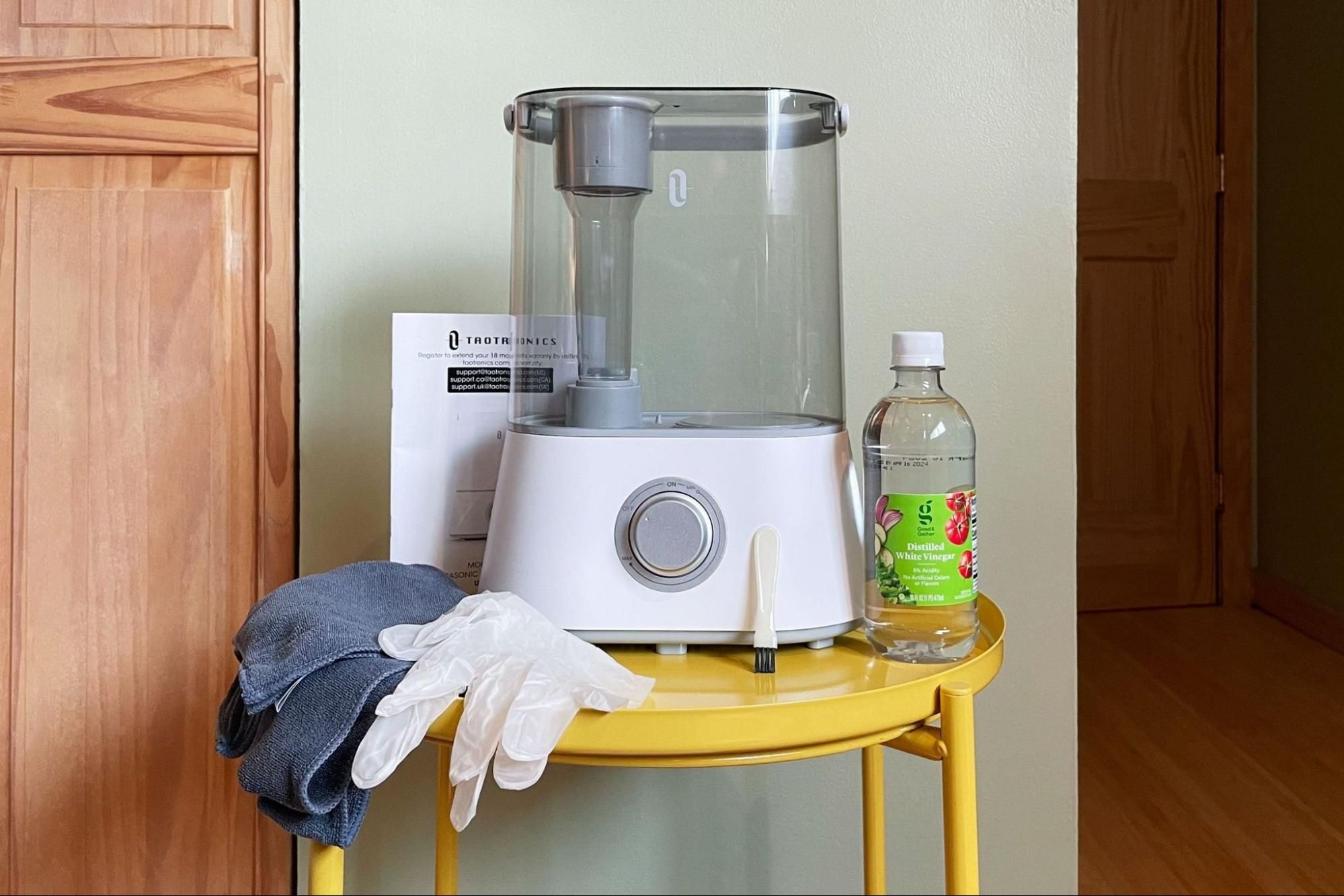 What Can You Put In Your Humidifier to Clean Mold