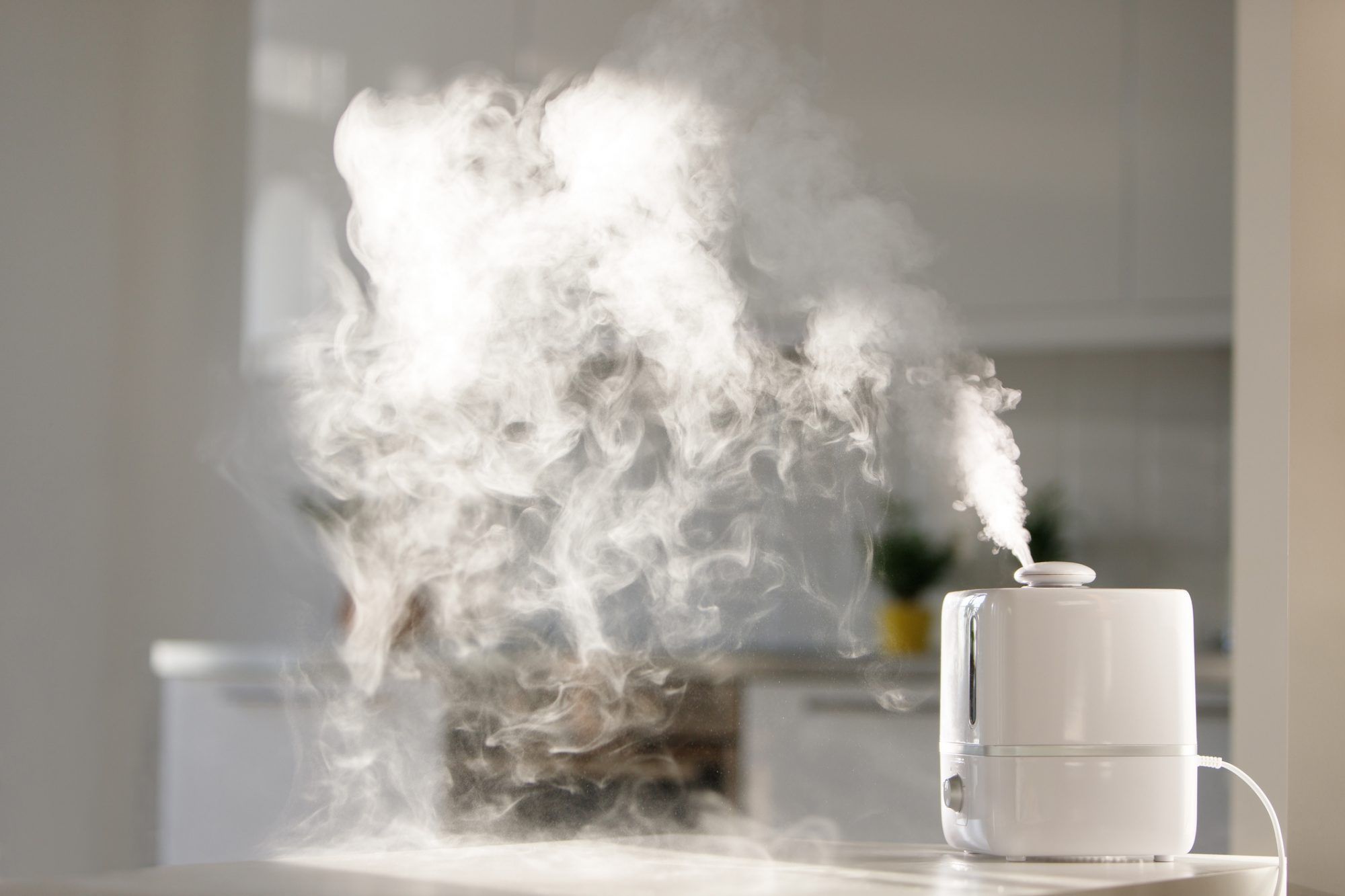 What Happens If You Add Hot Water In A Cool Mist Humidifier