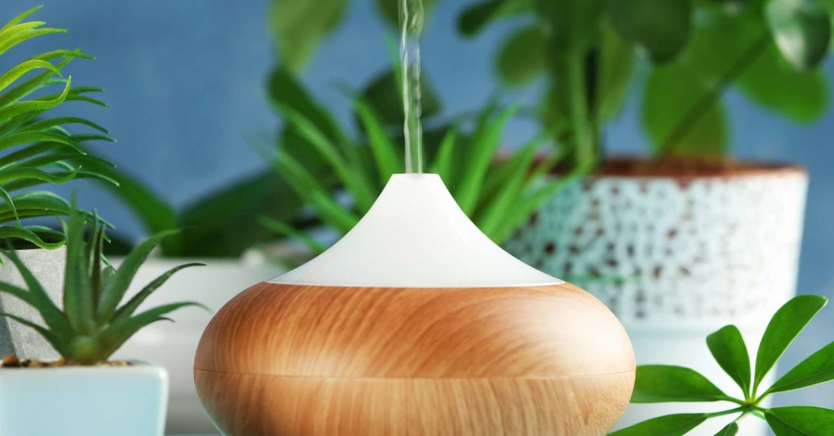 What Is The Safe Way to Use Eucalyptus Oil In Baby’s Humidifier