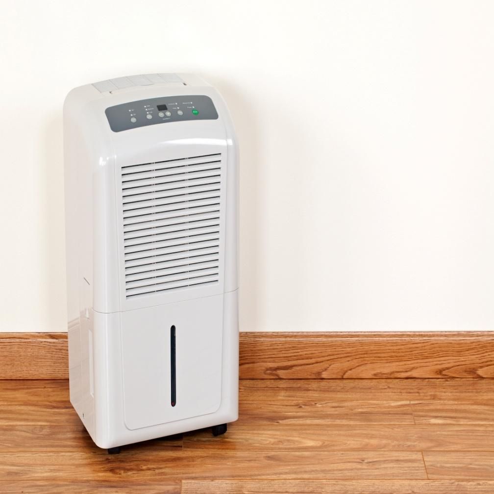 What Kind of Dehumidifier Should You Use