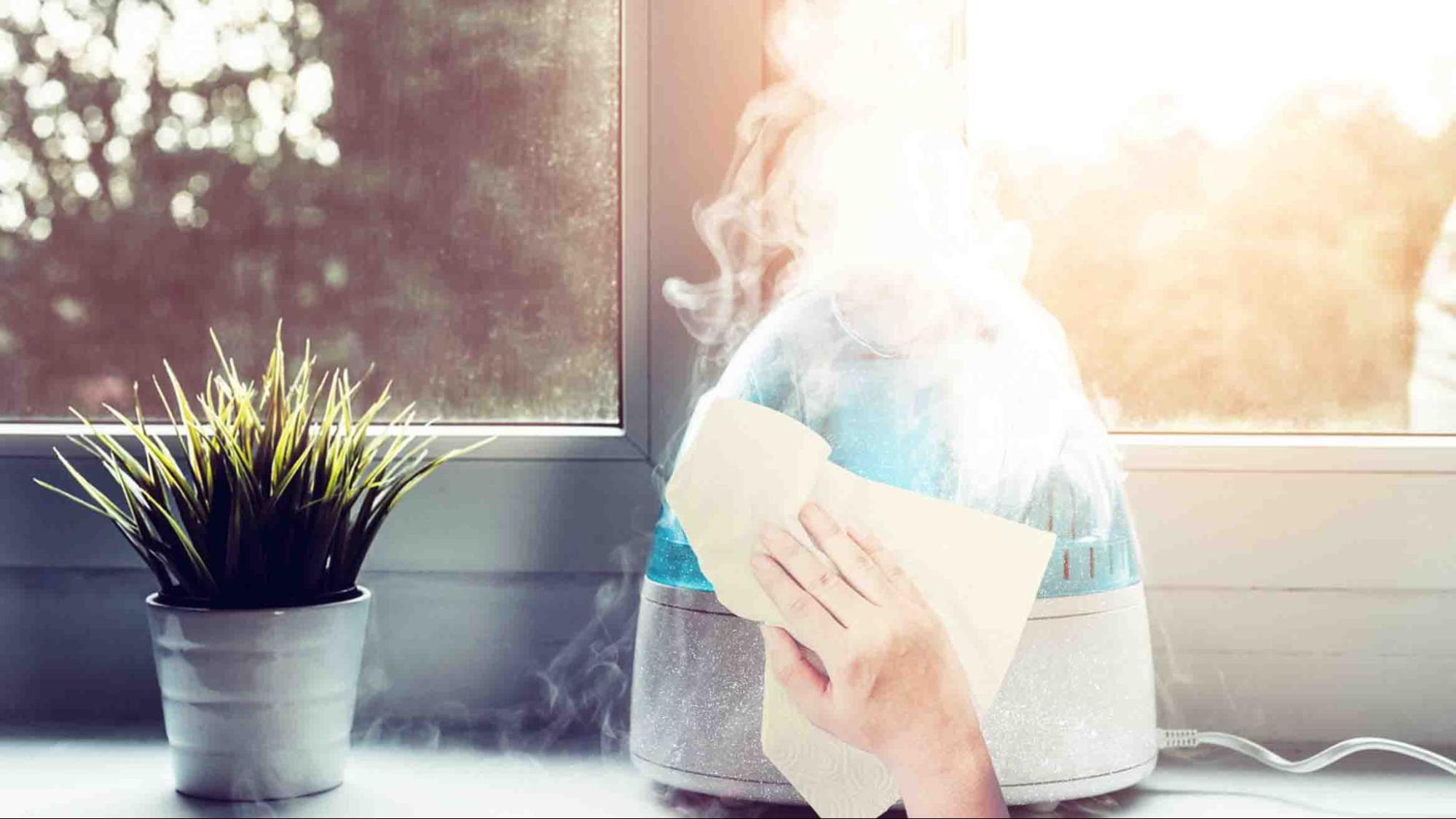 How to Prevent White Dust Coming From Humidifiers