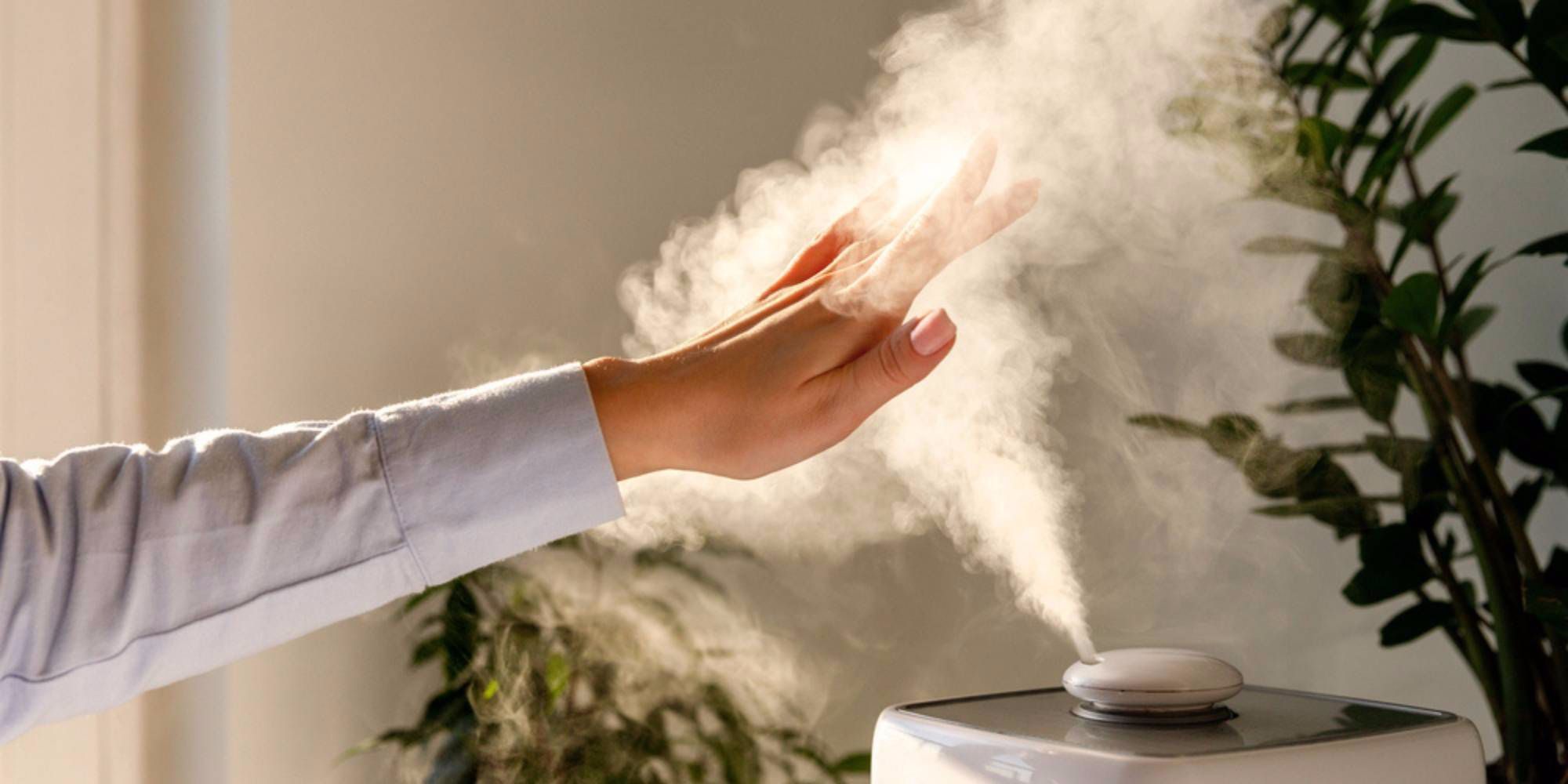 How to Use A Humidifier Effectively For Cough & Congestion