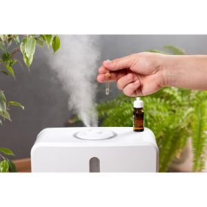 How to Fix A Humidifier That No Longer Mists