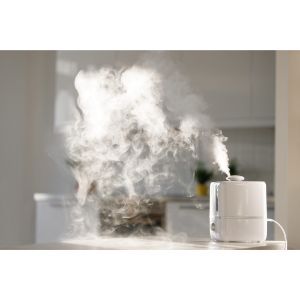 What Happens If You Add Hot Water In A Cool Mist Humidifier