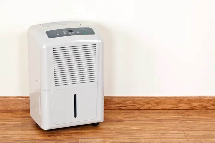 What Role Does A Dehumidifier Play In Alleviating The Smell Issue