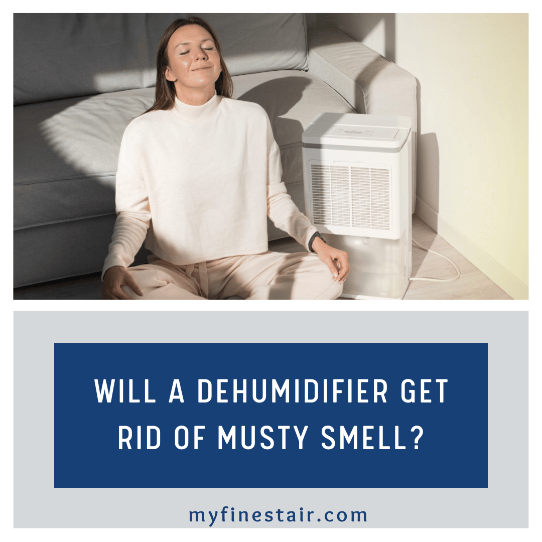 Dehumidifier Get Rid Of Musty Smell