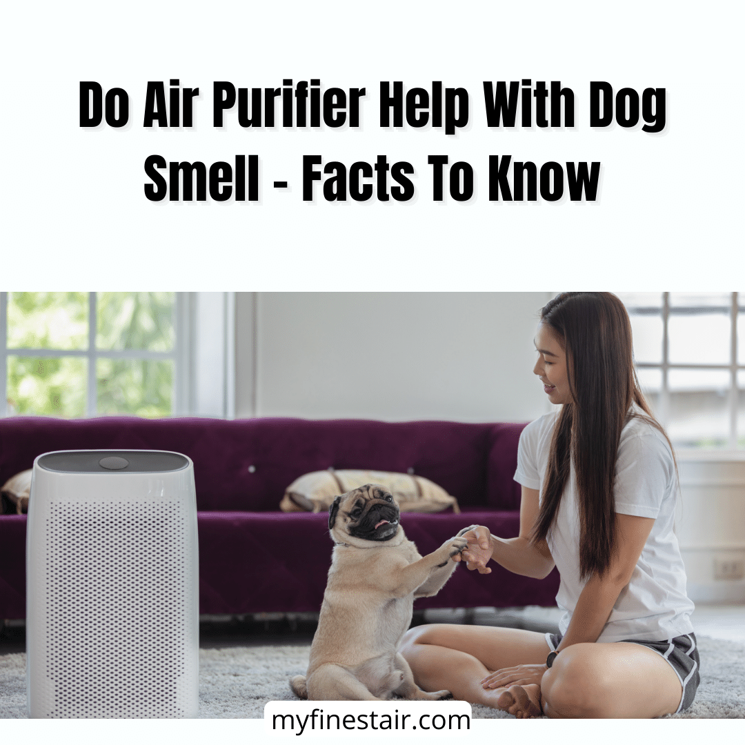 Do Air Purifier Help With Dog Smell - Facts To Know