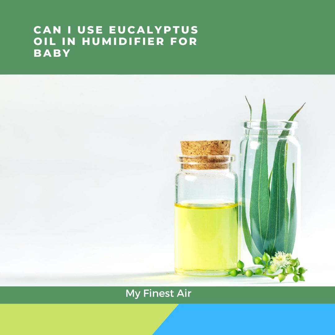 Can I Use Eucalyptus Oil In Humidifier For Baby