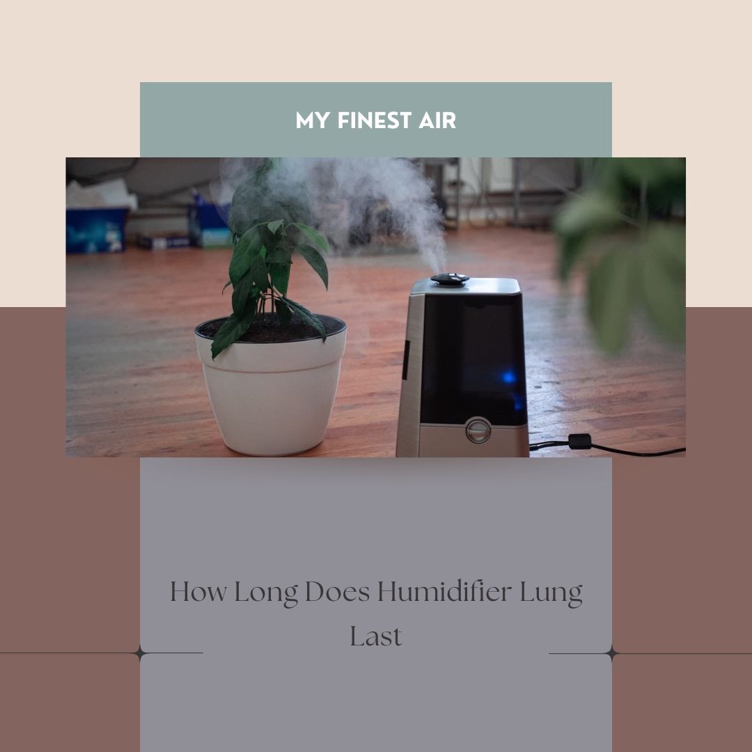 How Long Does Humidifier Lung Last 