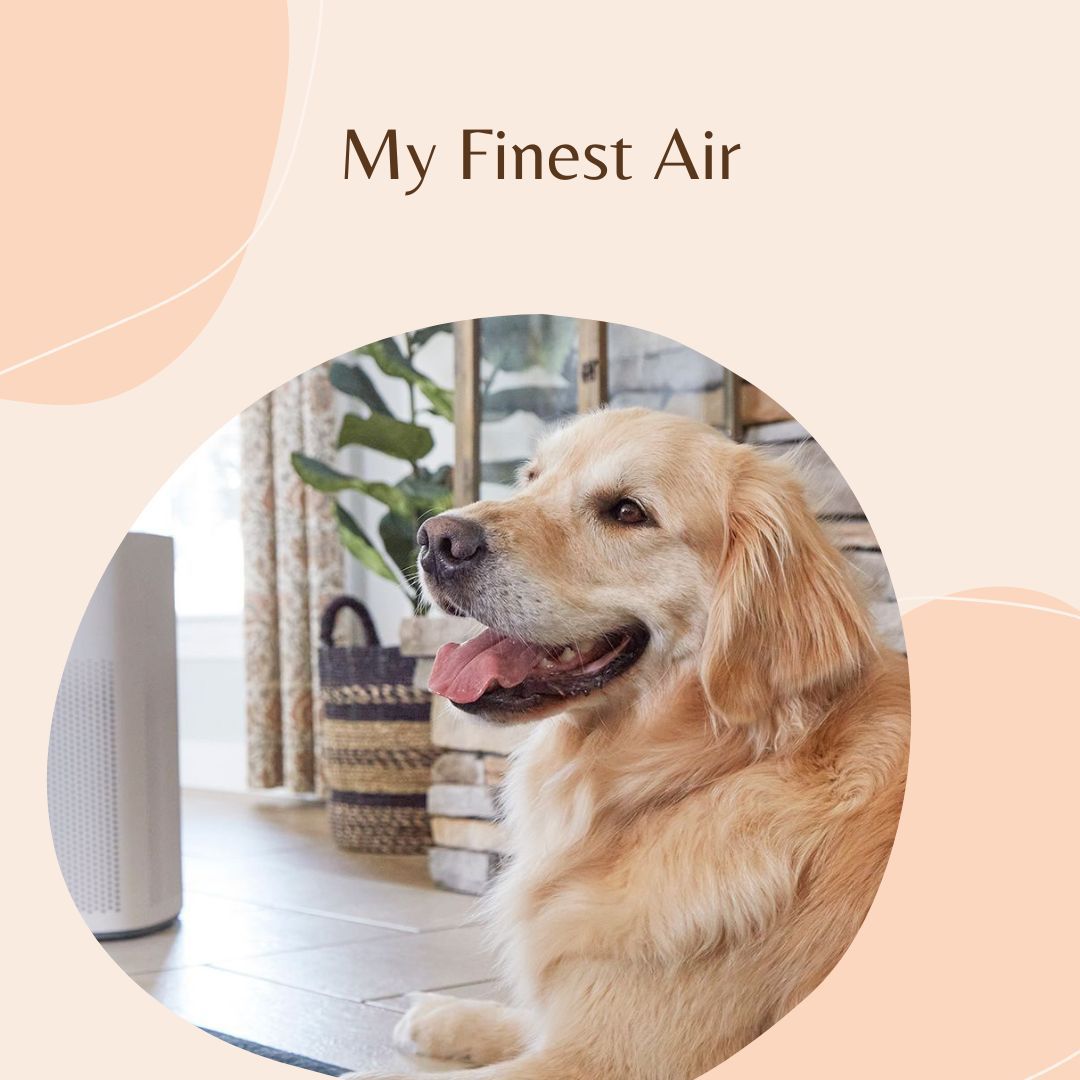 Removing Pet Hair From Air