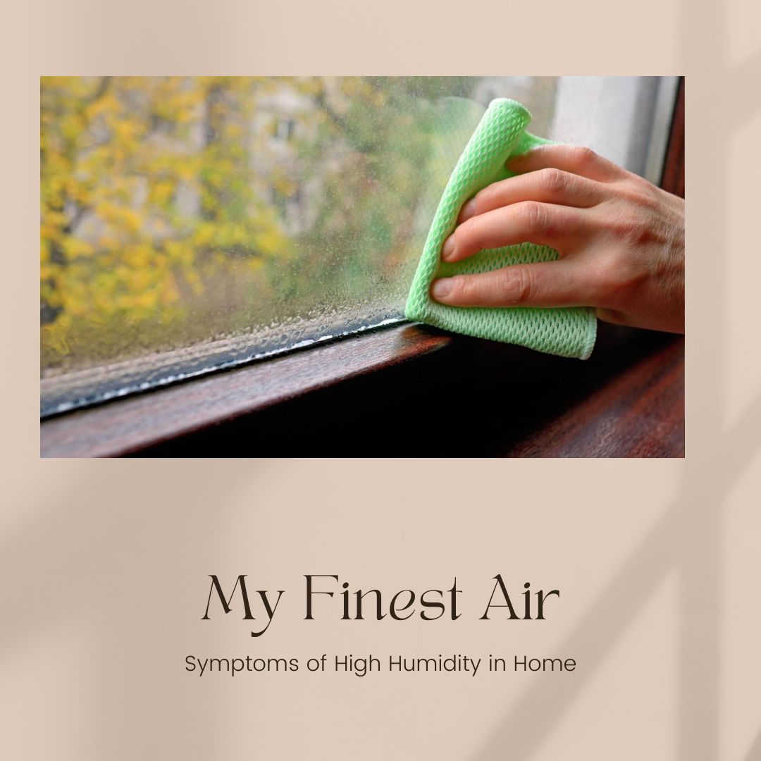 Symptoms of High Humidity in Home