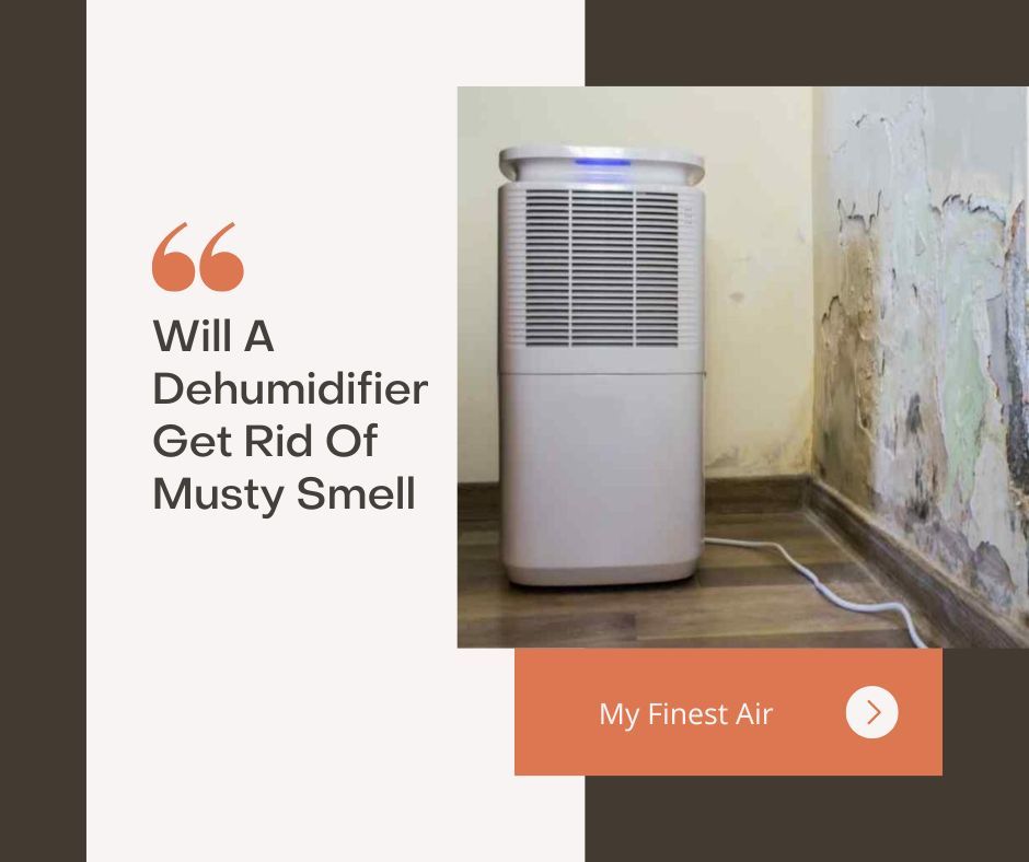 Will A Dehumidifier Get Rid Of Musty Smell