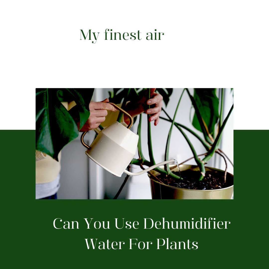 Can You Use Dehumidifier Water For Plants